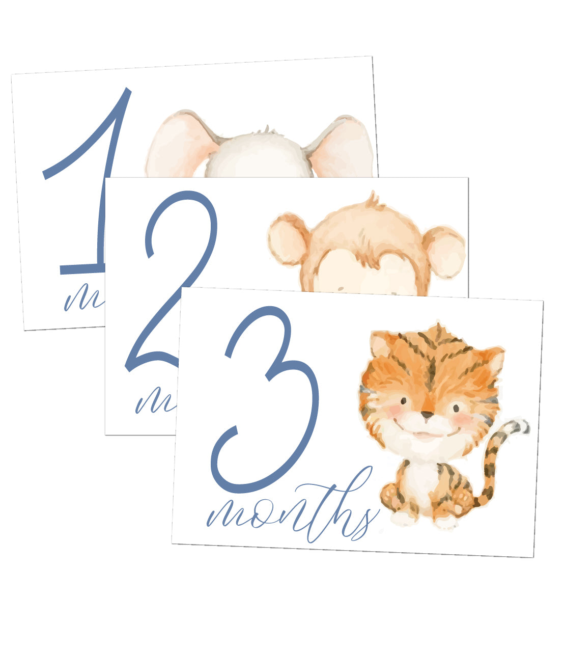 Animals Milestone Cards