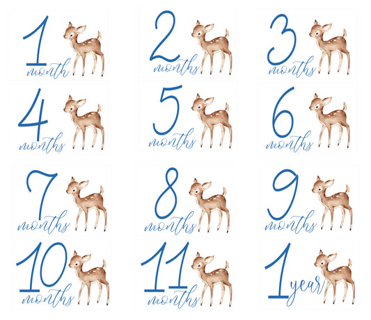 Deer Boy Milestone Cards