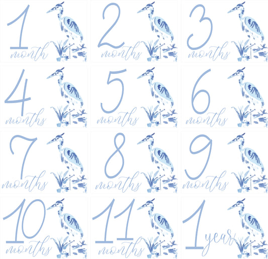 Heron Boy Milestone Cards