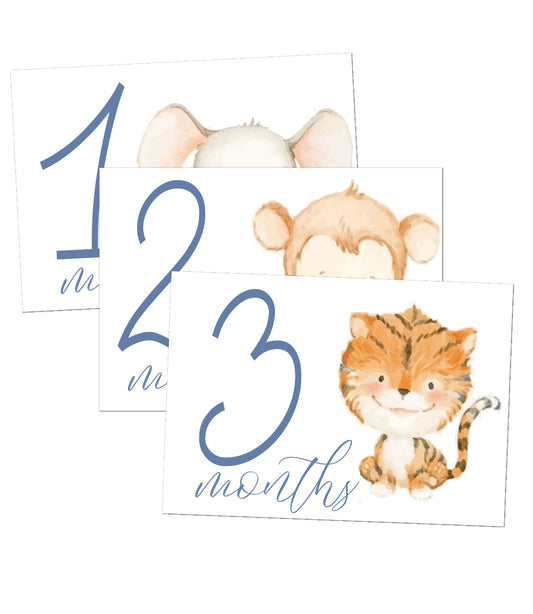 Animals Milestone Cards