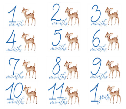 Deer Boy Milestone Cards