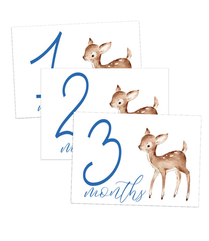 Deer Boy Milestone Cards