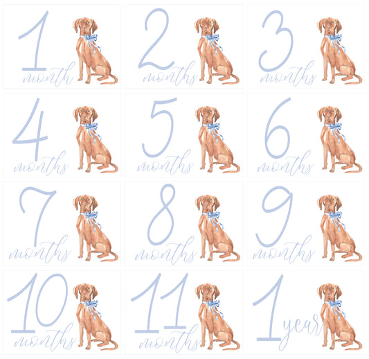 Pup Milestone Cards