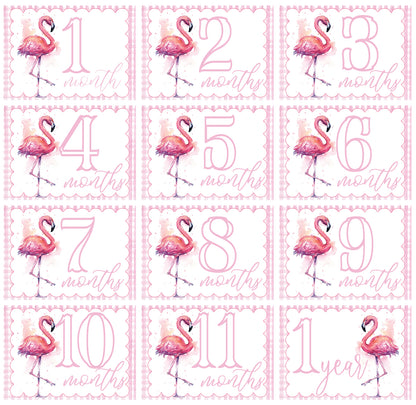 Flamingo Milestone Cards