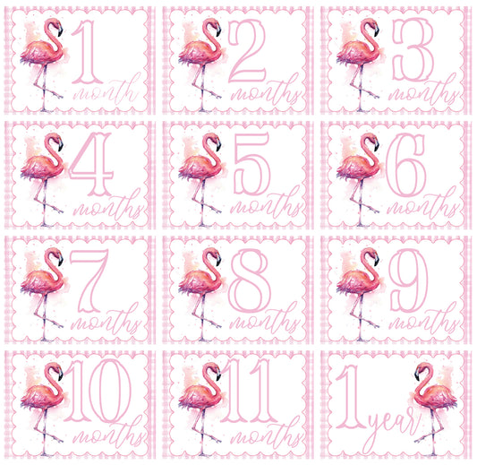 Flamingo Milestone Cards