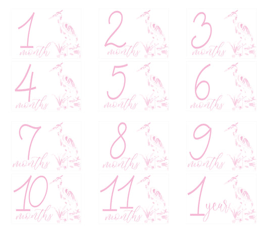 Heron Girl Milestone Cards