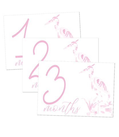 Heron Girl Milestone Cards