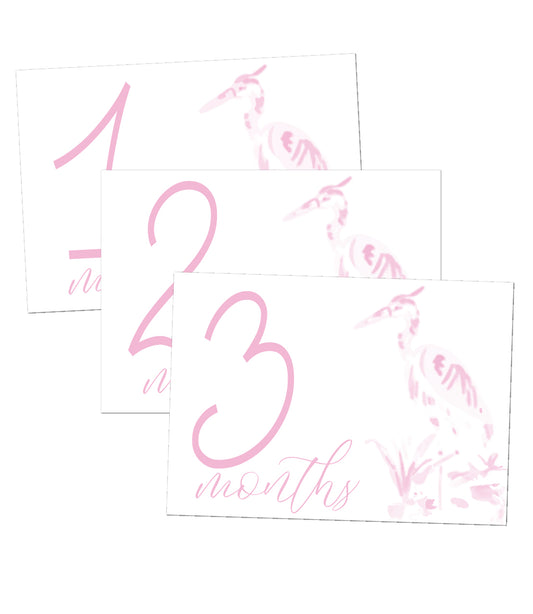 Heron Girl Milestone Cards