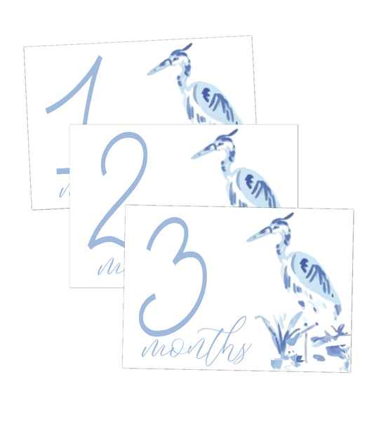 Heron Boy Milestone Cards